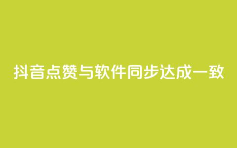 抖音点赞与软件同步达成一致 第1张 抖音点赞与软件同步达成一致 第1张