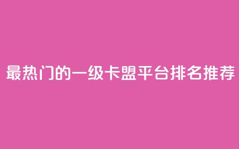 最热门的一级卡盟平台排名推荐 第1张