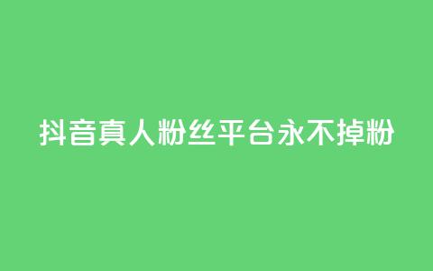 抖音真人粉丝平台 永不掉粉 - 抖音真人粉丝长期稳定平台! 第1张 抖音真人粉丝平台 永不掉粉 - 抖音真人粉丝长期稳定平台! 第1张