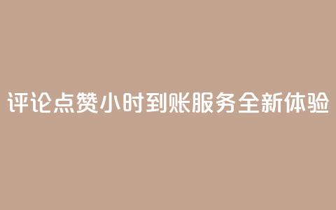 评论点赞24小时到账服务全新体验 第1张 评论点赞24小时到账服务全新体验 第1张