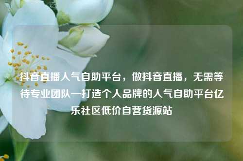 抖音直播人气自助平台，做抖音直播，无需等待专业团队—打造个人品牌的人气自助平台亿乐社区低价自营货源站  第1张