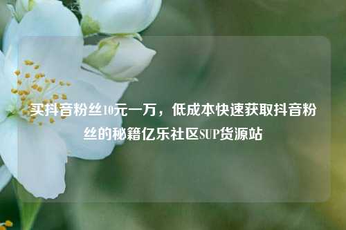 买抖音粉丝10元一万	，低成本快速获取抖音粉丝的秘籍亿乐社区SUP货源站  第1张